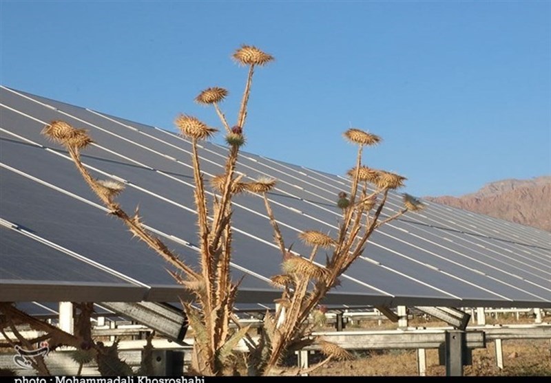 سرمایهگذار حاضر به ادامه پروژه تولید پنلهای خورشیدی نیست
