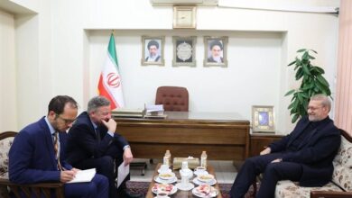 سفیر آلمان با علی لاریجانی دیدار کرد