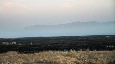 شرکت املاح ایران علت گردوخاک تالاب میقان را گردن قم انداخت