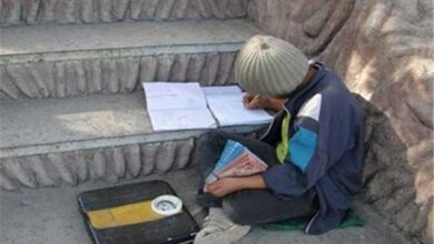 شناسایی 12 هزار دانشآموز بازمانده از تحصیل در کردستان!