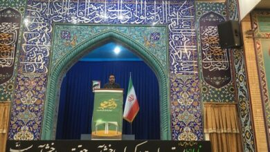 صدور سند برای 1.9 میلیون هکتار اراضی استان بوشهر