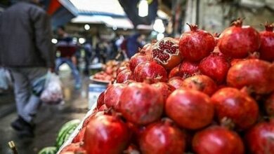 طرح ویژه نظارتی شب یلدا در خراسان شمالی انجام میشود