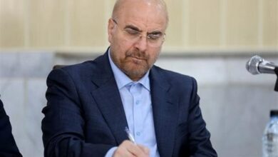 قالیباف: امروز شاهد همدلی دولت و مجلس بودیم