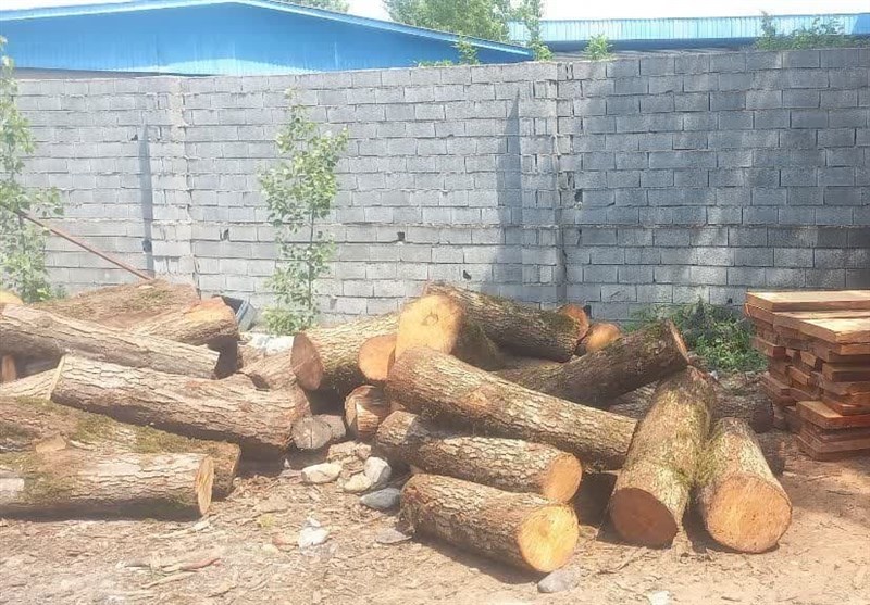 قاچاقچی چوب با تبر به جان مأمور جنگلبانی افتاد