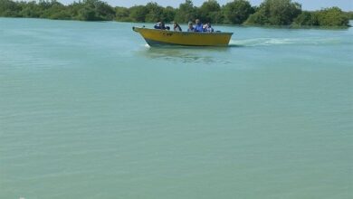 قشم در تکاپوی پذیرایی از 3 میلیون گردشگر