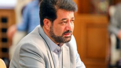 مجلس اختیار ورود به قیمت بنزین را ندارد