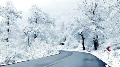 محور جنگل گلستان به آشخانه بازگشایی شد + فیلم