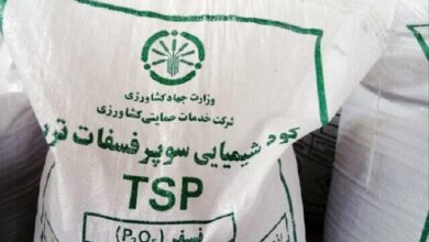 مطالبات تولیدکنندگان کود یارانهای به زودی پرداخت میشود