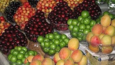 میوه شب یلدا در مشهد با نرخ مناسب عرضه شد