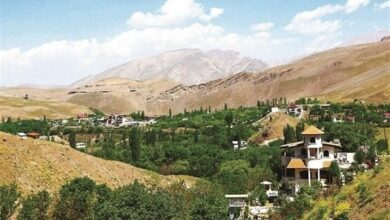 ناکامی زمینخواران برای ویلاسازی در حاشیه جنگل آقسو