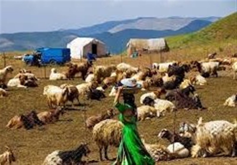 نشستی پرتنش در انتقاد از عملکرد سازمان عشایر/"رئیس" قهر کرد!