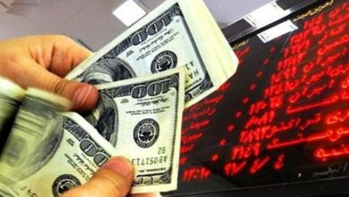 نوسانات ارزی اثر مخربی بر تجارت و تولید ناخالص ملی دارد