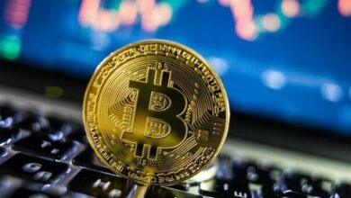 نگاه توسعه محور مرکز ملی فضای مجازی به رمزارزها/ این حوزه باید شفاف شود