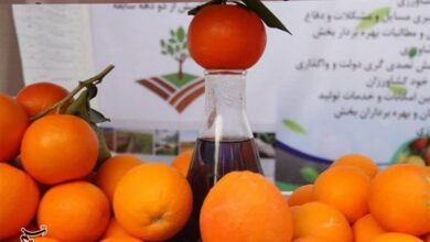 هماهنگی برای توزیع مرکبات شب عید انجام شد