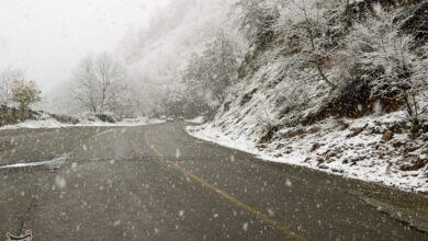 هواشناسی فارس هشدار زرد صادر کرد/ برف و باران در راه است