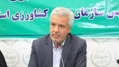 چغندرکاران نهاوند بیش از حد تعیین شده کشت کردند