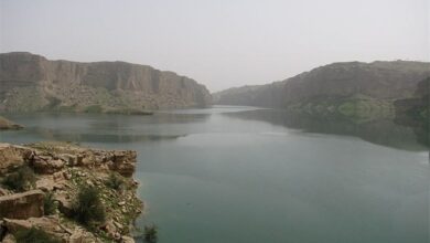 کاهش 40 درصدی حجم ذخیره آب سد رئیسعلی دلواری بوشهر