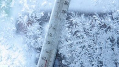 کاهش محسوس دما و خطر سرمازدگی در استان کرمان