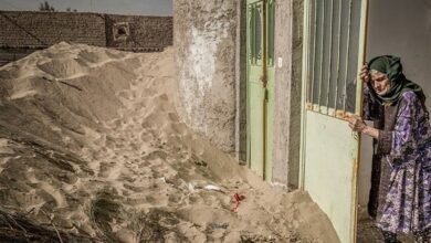 گزارش|"هامون"، "گرد و غبار" و "مردمانی" که رها شدهاند+فیلم