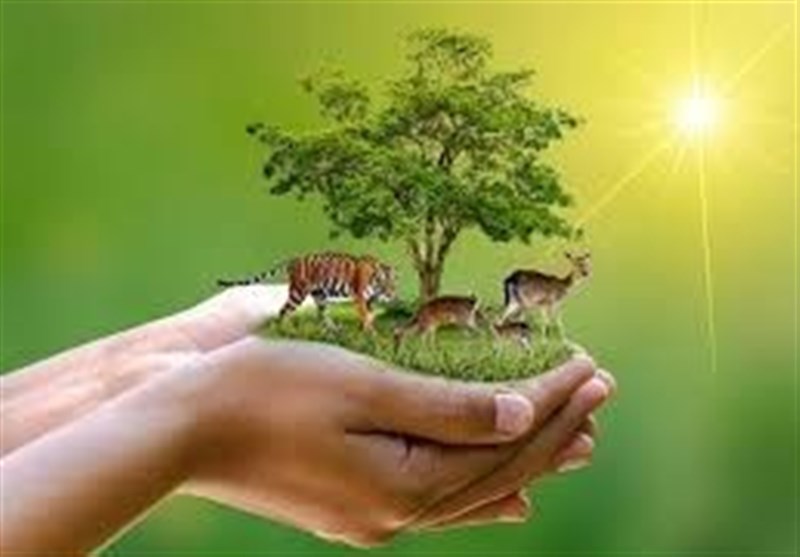 گفتوگو| ضربهای که خوشنشینها به حیات وحش وارد کردند