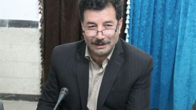 یک کردستانی سرپرست پژوهشگاه میراثفرهنگی ایران شد