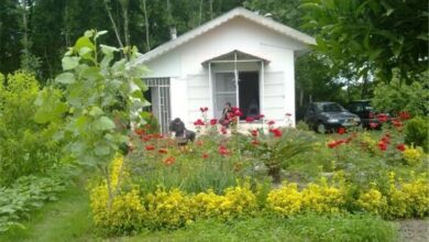 16 درصد خانه باغهای غیرقانونی خراسان شمالی تخریب شد