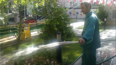 83 درصد آبیاری فضای سبز شهر قم از آب غیرشرب است