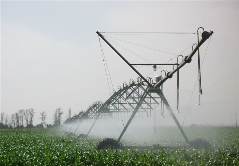 848 طرح سرمایهگذاری کشاورزی در خراسان شمالی اجرایی میشود