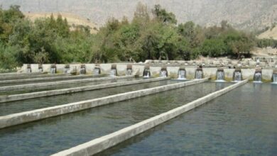 آبگیری فاز نخست مجتمع پرورش ماهی دورود تا پایان 1403