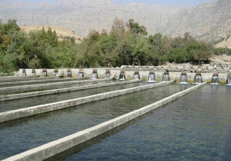 آبگیری فاز نخست مجتمع پرورش ماهی دورود تا پایان 1403