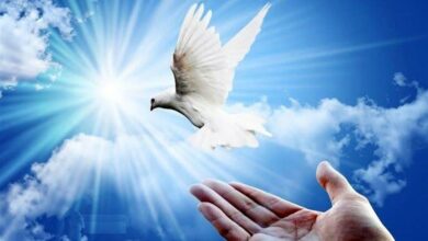 آزادی 37 زندانی در بوشهر به مناسبت میلاد امام علی(ع)