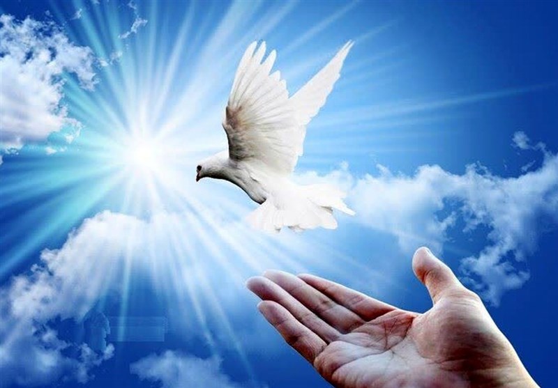 آزادی 37 زندانی در بوشهر به مناسبت میلاد امام علی(ع)