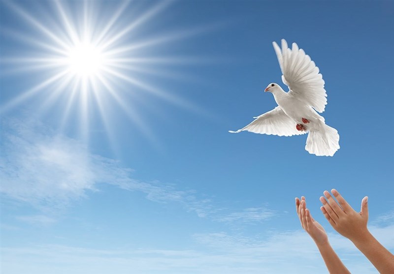 آزادی 732 زندانی مالی و جرایم غیرعمد استان تا پایان دیماه