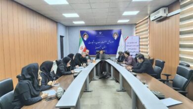 آمادگی 110 شرکت صنعتی البرز برای تولید برق خورشیدی