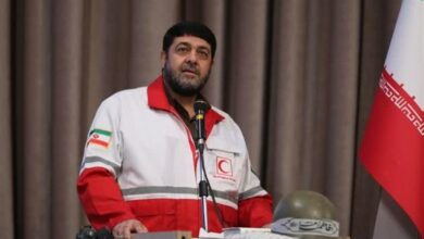 آمریکا توان مهار آتشسوزی را ندارد/ کشورها باید ورود کنند