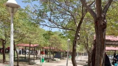 احداث بوستان بانوان طرق تسریع میشود