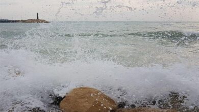 اختلال در فعالیت دریایی سواحل استان بوشهر