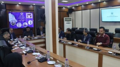 استفاده از ظرفیت دانشگاههای بوشهر در عرصه مهارت نیروها