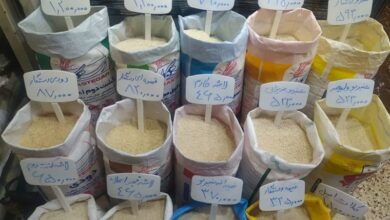 اصناف نقش کلیدی در تنظیم بازار و توزیع کالاهای اساسی دارند