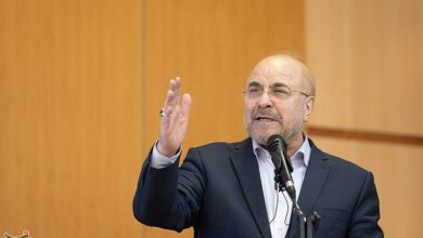 افتتاح کارخانه کائولن تربت حیدریه با حضور رئیس مجلس