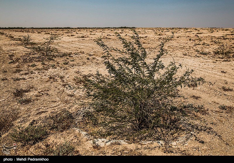 اقدامات محیط زیستی در قم جایگزین حبس می شود