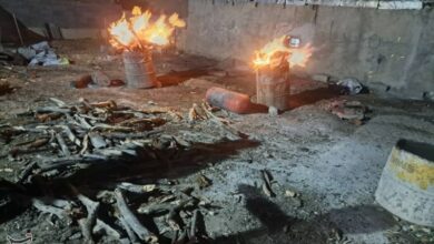 امحای کورههای زغال در باشت+تصاویر