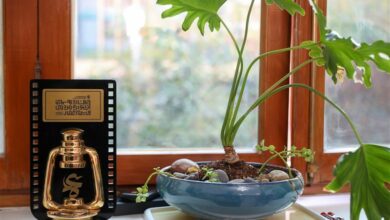 اکران مردمی جشنواره عمار در استان همدان تا روز شنبه تمدید شد