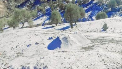 بارش برف آزادراههای استان زنجان را نیز فرا گرفت+فیلم