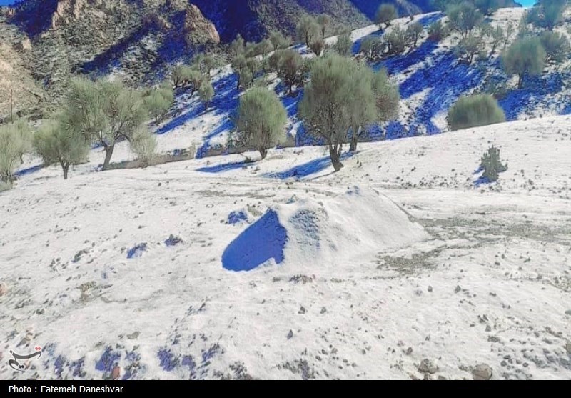 بارش برف آزادراههای استان زنجان را نیز فرا گرفت+فیلم