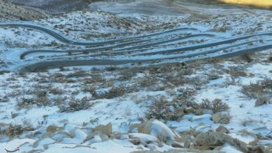 بارش برف در کهگیلویه و بویراحمد + تصاویر