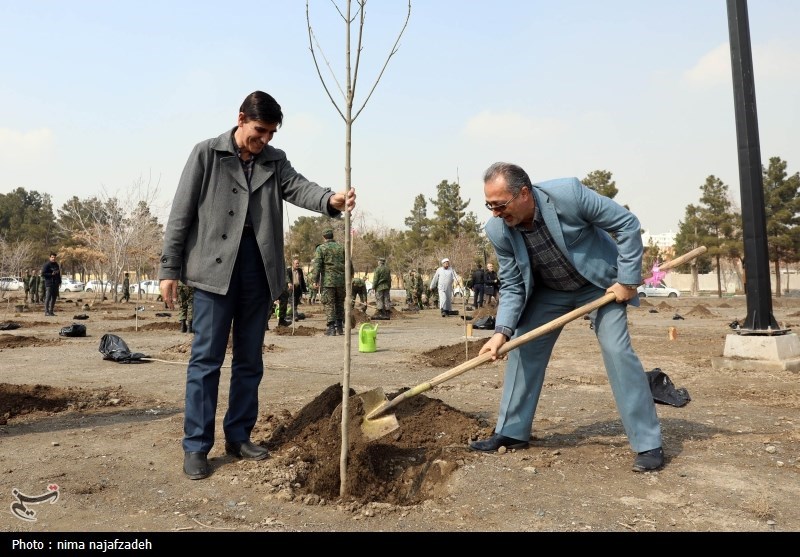 برگزاری پویش درختکاری «به نام پدر» در 17 شهرستان استان کرمان