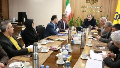 تاکید معاون وزیر نیرو بر اجرای طرح مولدسازی