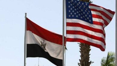 تحولات غرب آسیا؛ محور گفتگوی وزرای خارجه مصر و آمریکا