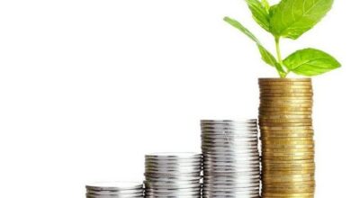 تدارک 30 فرصت سرمایهگذاری در اردبیل